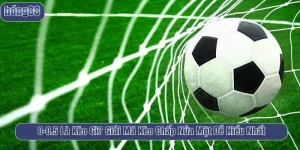 0-0.5 là kèo gì