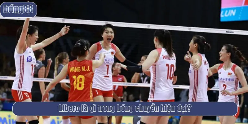 Libero là gì trong bóng chuyền hiện đại?