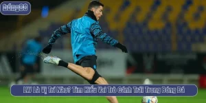 lw là vị trí nào