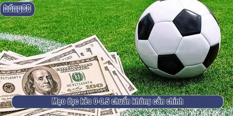 Mẹo đọc kèo 0-0.5 chuẩn không cần chỉnh
