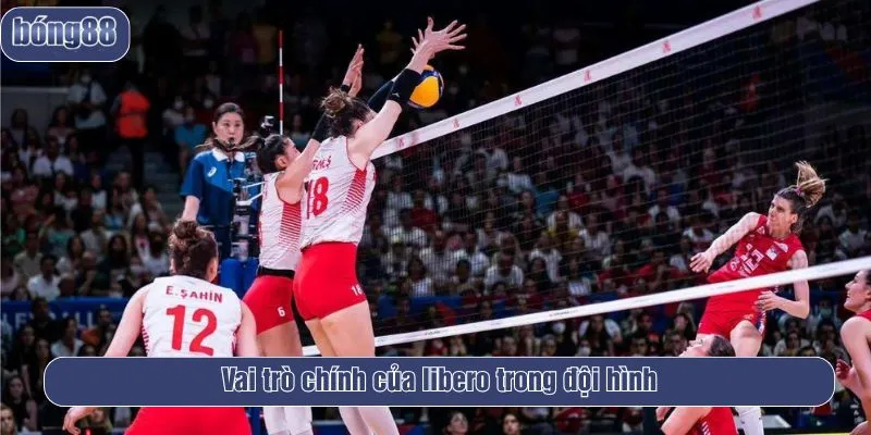 Vai trò chính của libero trong đội hình