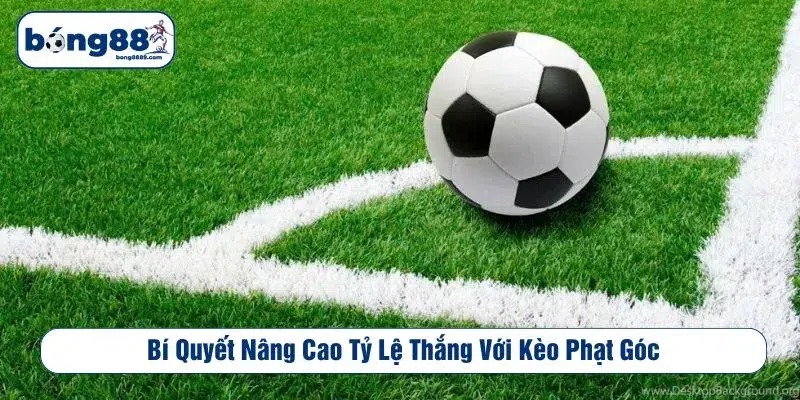 Bí quyết nâng cao tỷ lệ thắng với kèo phạt góc