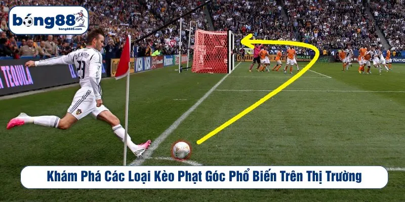 Khám phá các loại kèo phạt góc phổ biến trên thị trường