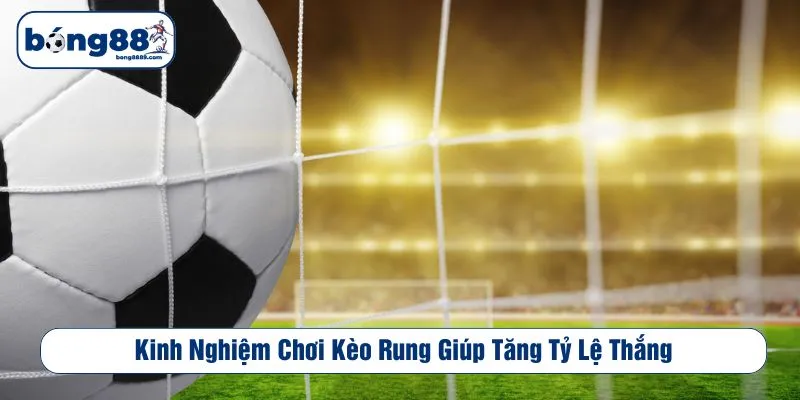 Kinh nghiệm chơi kèo rung giúp tăng tỷ lệ thắng